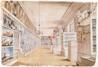 Der Lange Raum, Innenansicht des Vorderzimmers im Peales Museum, 1822 von Charles Willson Peale