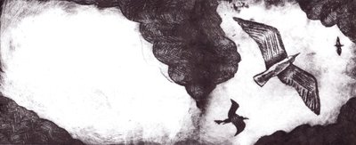 Die Geschichte der Möwe von Charlotte Orr