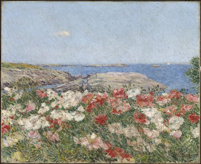 Mohnblumen auf den Isles of Shoals von Childe Frederick Hassam