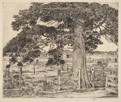 Die große Zeder von Childe Hassam
