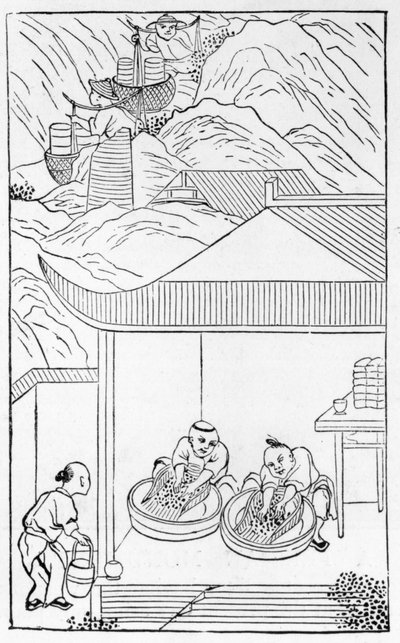 Sammeln und Waschen des blauen Emails zum Färben, aus einer Serie von Illustrationen zur Herstellung von Porzellan von Chinese School
