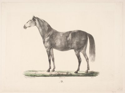 Hesten D von Christian David Gebauer