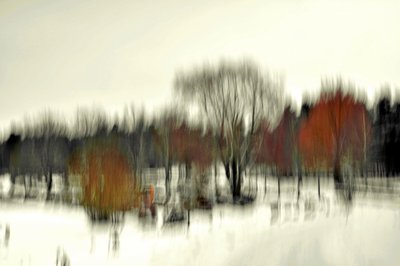 Abstrakter Winterwald von Christina Sillen