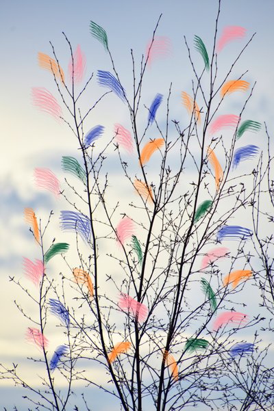 Bunte Frühlingszweige von Christina Sillen