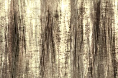 Träumige Waldlinien von Christina Sillen