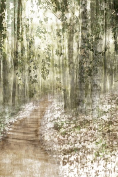 Träumiger Waldweg von Christina Sillen