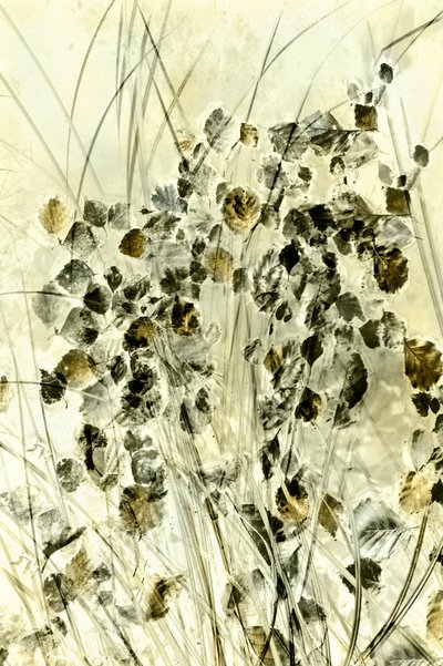 Ätherische botanische Formen von Christina Sillen