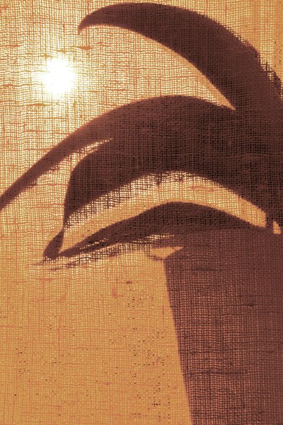 Goldene Morgensilhouette von Christina Sillen