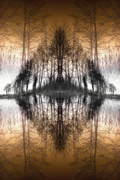 Spiegelnder Waldsee von Christina Sillen
