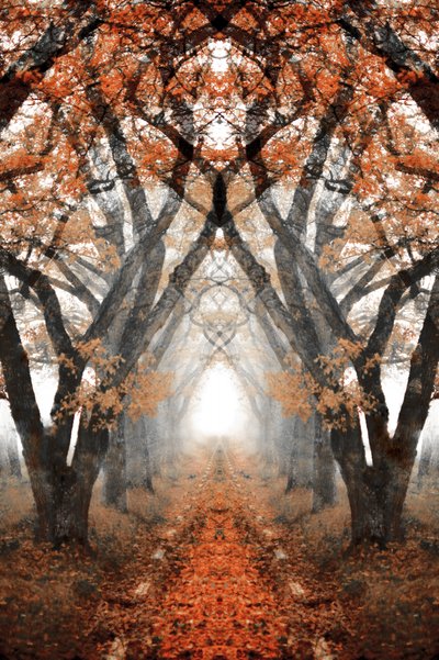Nebliger Herbstpfad von Christina Sillen