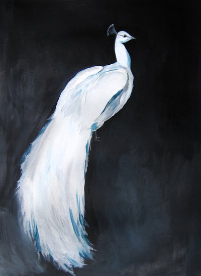 Eleganter Weißer Pfau von Christine Lindstrom