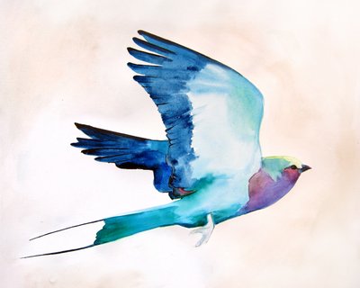 Lebhafter Vogel im Flug von Christine Lindstrom