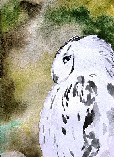 Aquarell Schneeeule von Christine Lindstrom