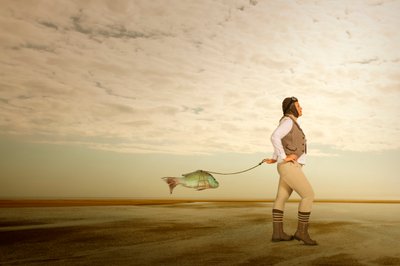 Flieger führt Fische von Christine von Diepenbroek