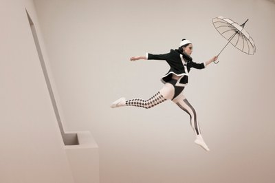 Harlekins Launischer Flug von Christine von Diepenbroek