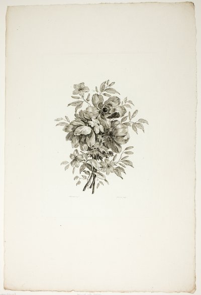 Blumenstrauß mit Mohnblumen, aus der Sammlung verschiedener Blumensträuße, erfunden und gezeichnet von Jean Pillement und graviert von P. C. Canot von Christopher Norton