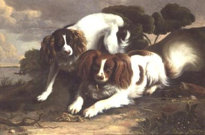 Zwei King Charles Spaniels spielen mit einem Frosch von Christopher Pierson