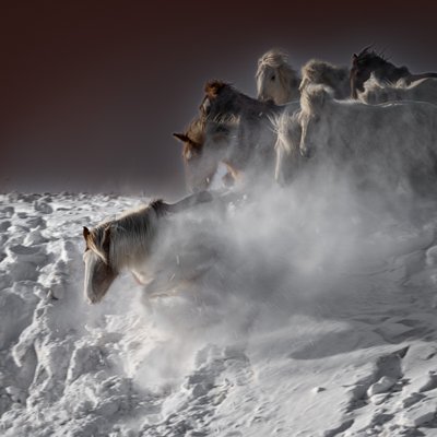 Galoppierende Schneepferde von Chuanxu Ren