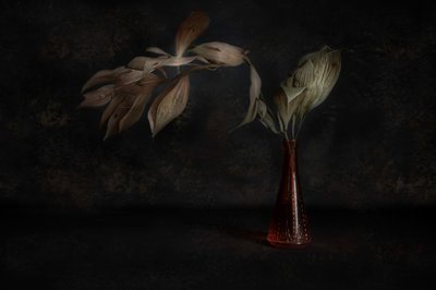 Dunkles botanisches Stillleben von Cicek Kiral
