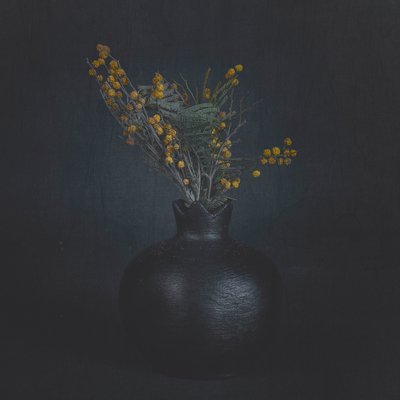 Dunkles Blumenstillleben von Cicek Kiral
