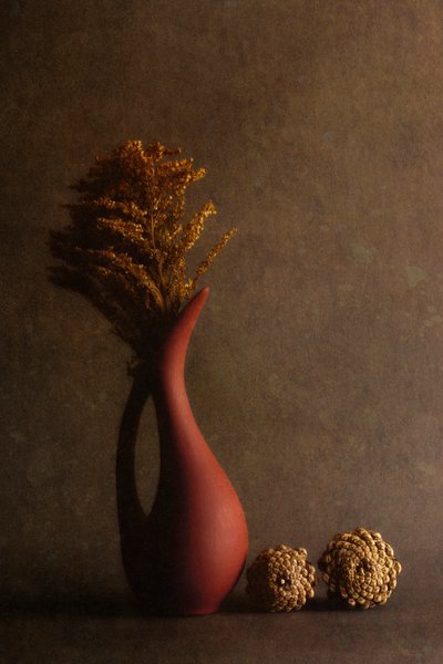  von Cicek Kiral