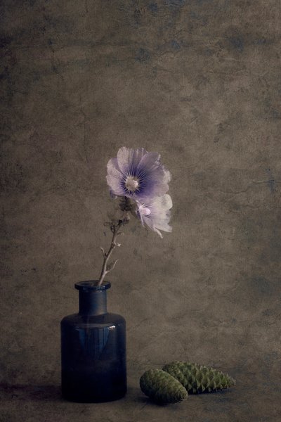 von Cicek Kiral