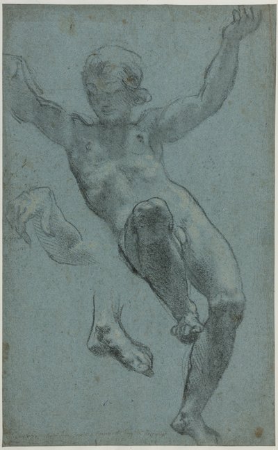 Studie eines Jünglings für die Loggia von Amor und Psyche von Cigoli