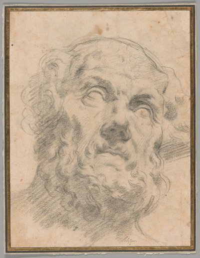 Kopf eines alten Mannes, möglicherweise Seneca von Circle of Peter Paul Rubens