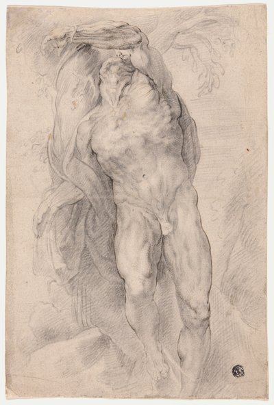 Männlicher Akt an einen Baum gebunden von Circle of Peter Paul Rubens