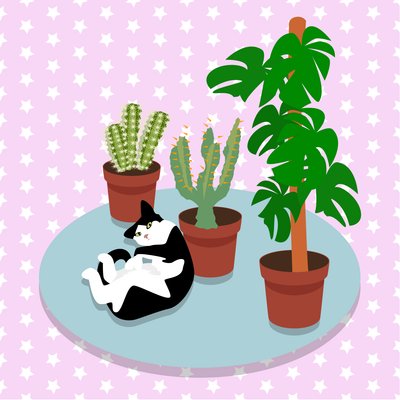 Die Katze und die Kakteen von Claire Huntley