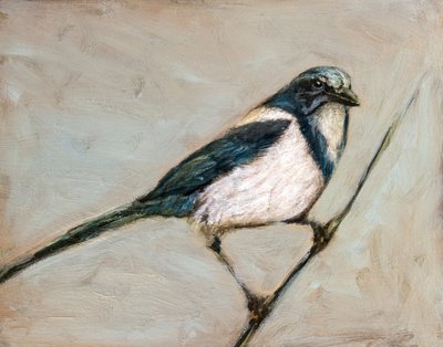 Ruhige Elster auf Zweig von Claire Lerner