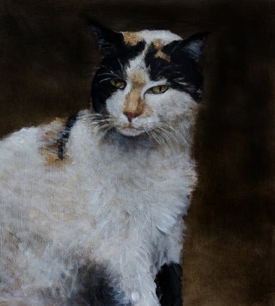 Wachsame Calico-Katze von Claire Lerner