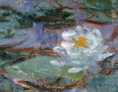 Blaue Seerosen. (Detail) von Claude Monet