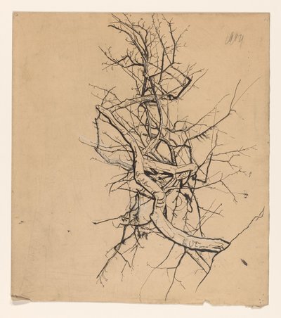 Baumstudie von Coba Steenhoff