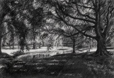 Sonniger Parkweg von Corné Akkers