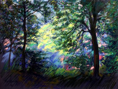 Lebendiges Waldlicht von Corné Akkers