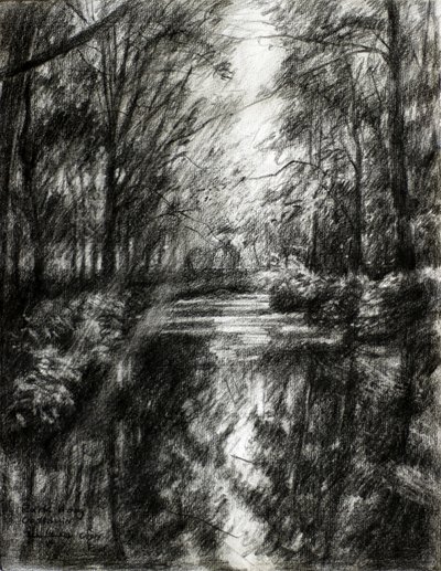Verschlungener Waldweg von Corné Akkers
