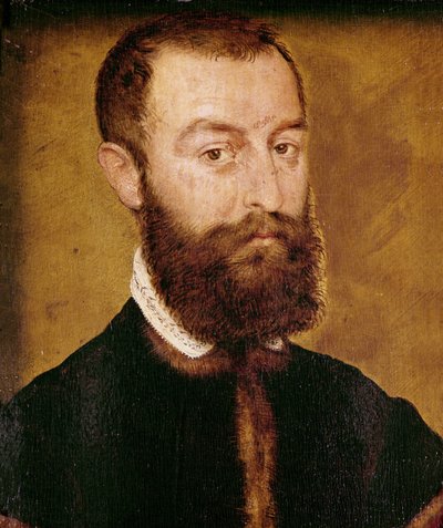 Porträt eines Mannes mit Bart oder Porträt eines Mannes mit braunen Haaren von Corneille de Lyon
