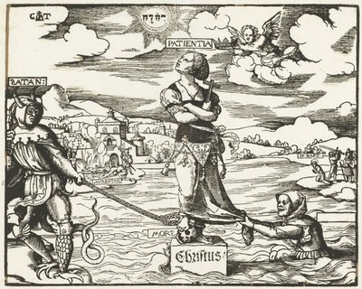 Geduld auf einem Stein im Wasser von Cornelis Anthonisz.