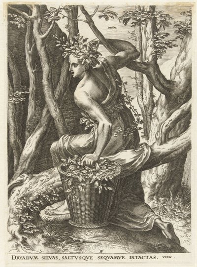 Dryas von Cornelis Cort