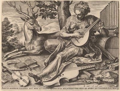 Auditus von Cornelis Cort after Frans Floris I