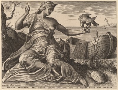 Tactus von Cornelis Cort after Frans Floris I