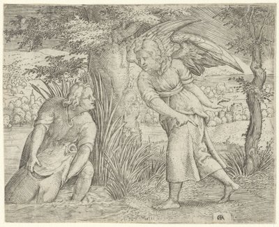 Tobias und der Fisch von Cornelis Massijs