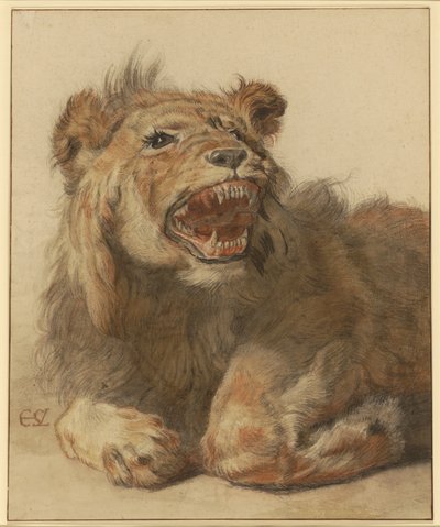 Ein fauchender Löwe, ca. 1625-33 von Cornelis Saftleven