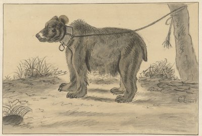 Bär, der an einen Baum gebunden ist von Cornelis Saftleven