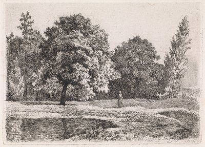 Landschaft mit Bäumen, See und einer Frau von Cornelis Steffelaar