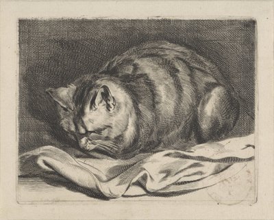 Kleine Katze von Cornelis Visscher (II)