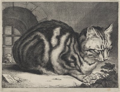 Die große Katze von Cornelis Visscher (II)