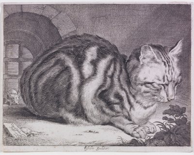 Die große Katze von Cornelis de Visscher