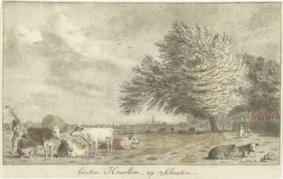 Kühe auf einer Weide von Cornelis van Noorde